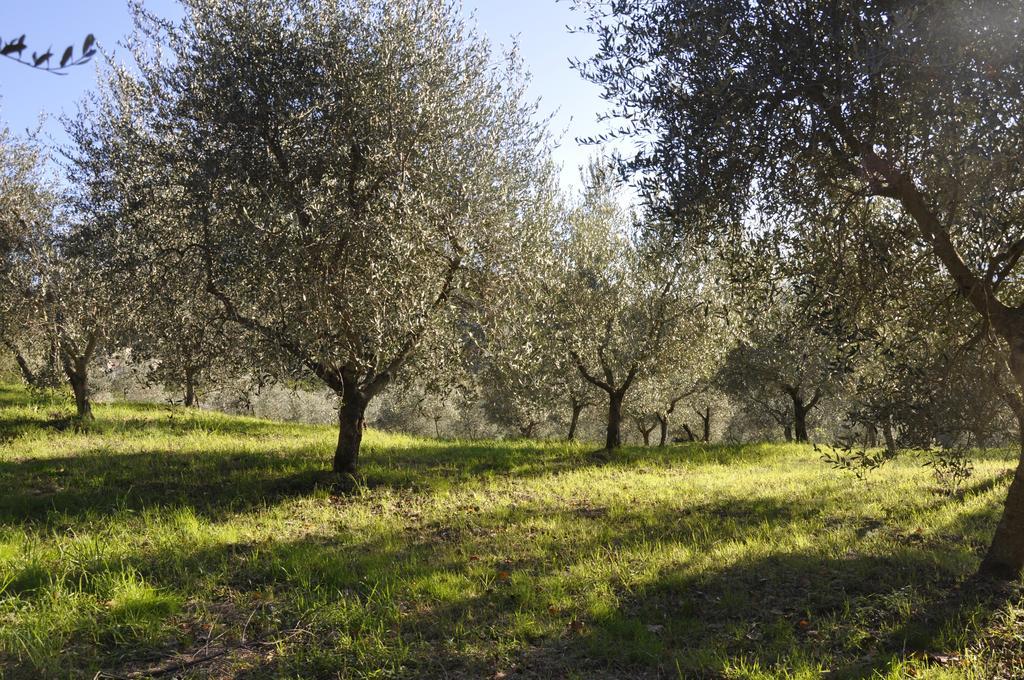 Podere Le Monache Монтайоне Экстерьер фото